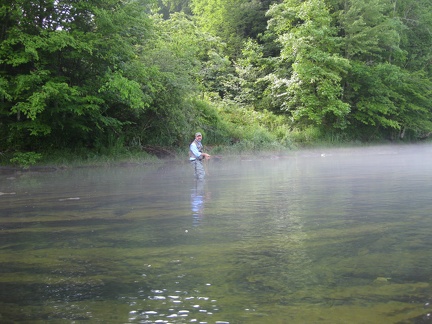 Carl in the Mist